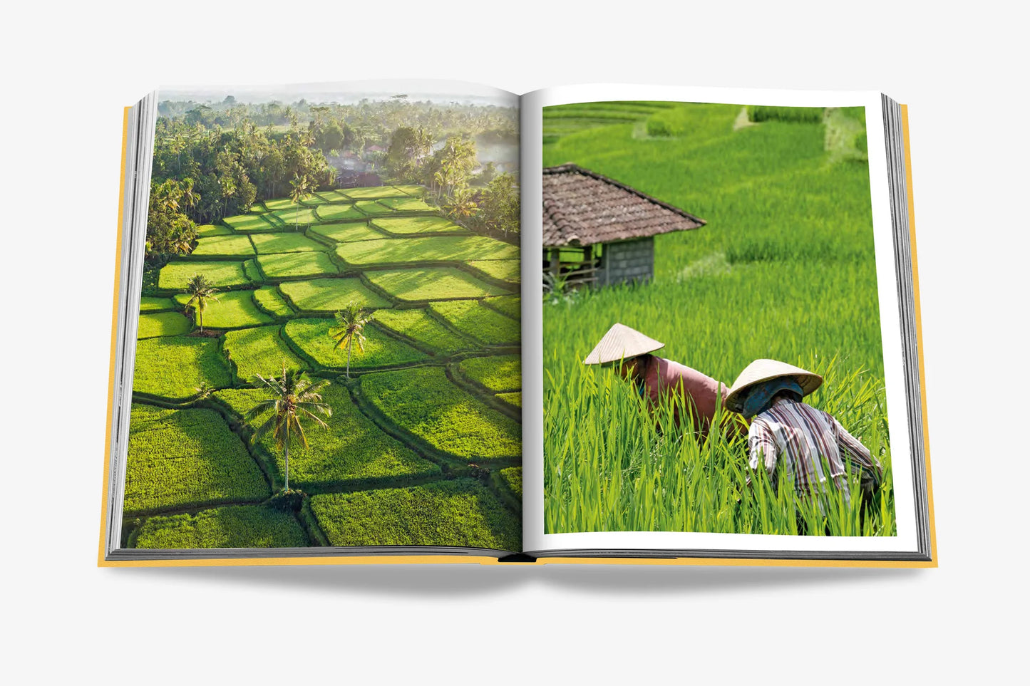 BALI MYSTIQUE