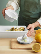 PLAT À GRATIN - 27X17X6.5