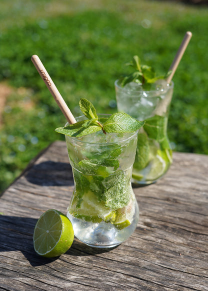 MEILLEUR VERRE A MOJITO