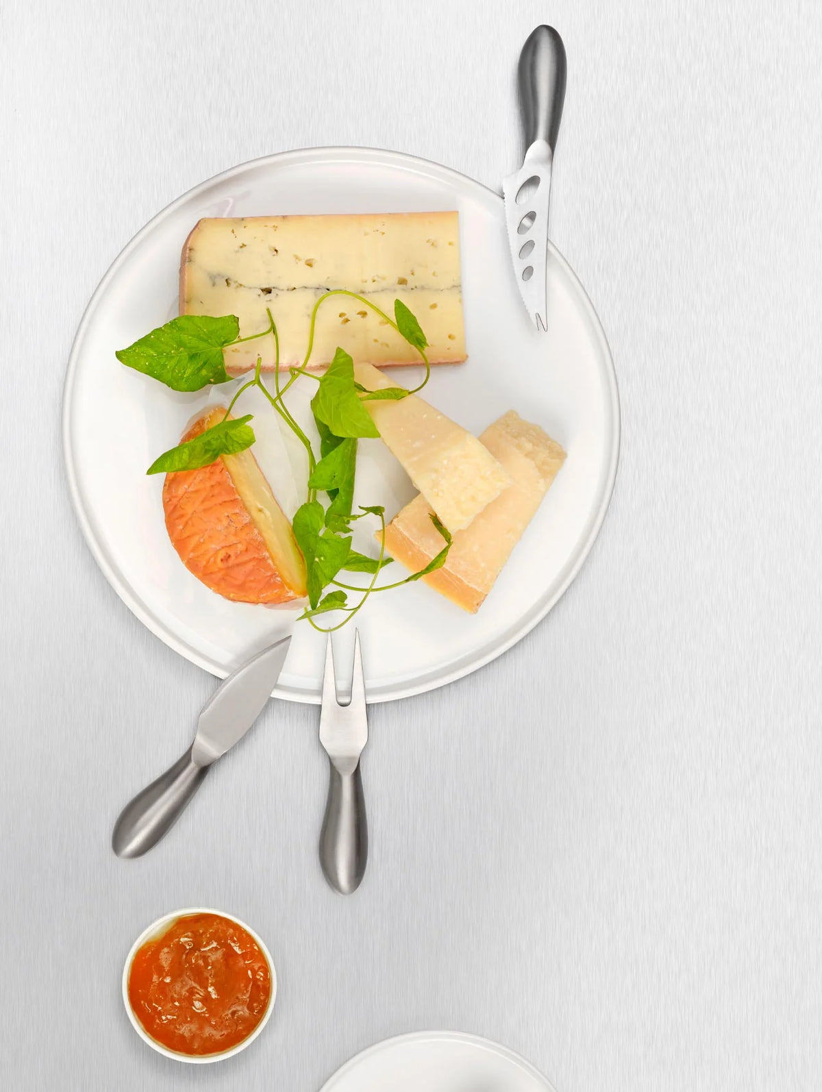 SET DE COUTEAUX À FROMAGE