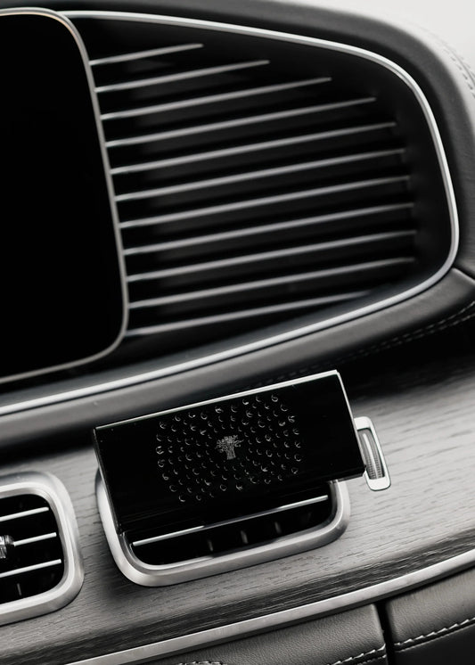 CAR DIFFUSER BLACK PEARLS