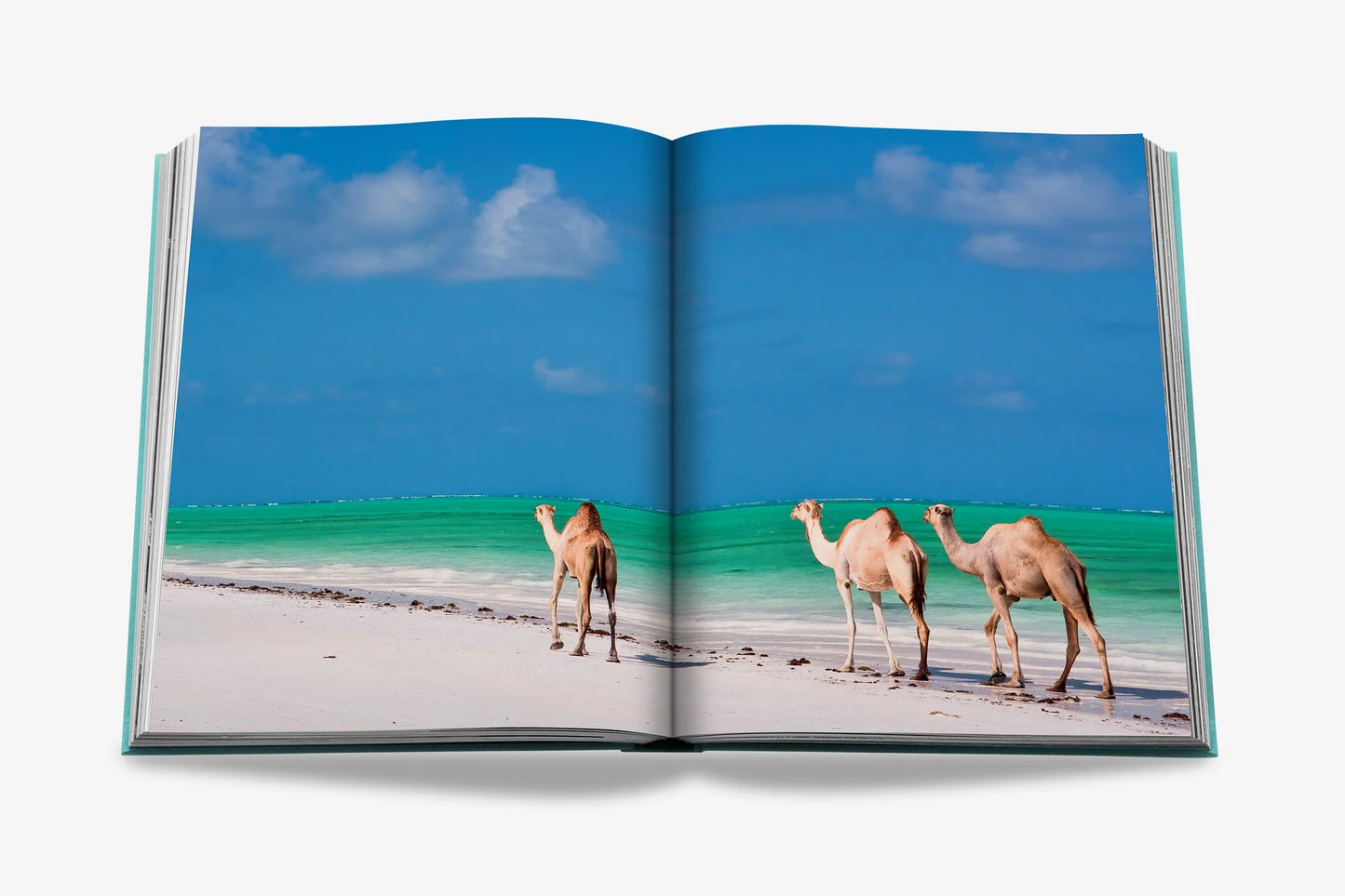RED SEA SAUDI ARABIA