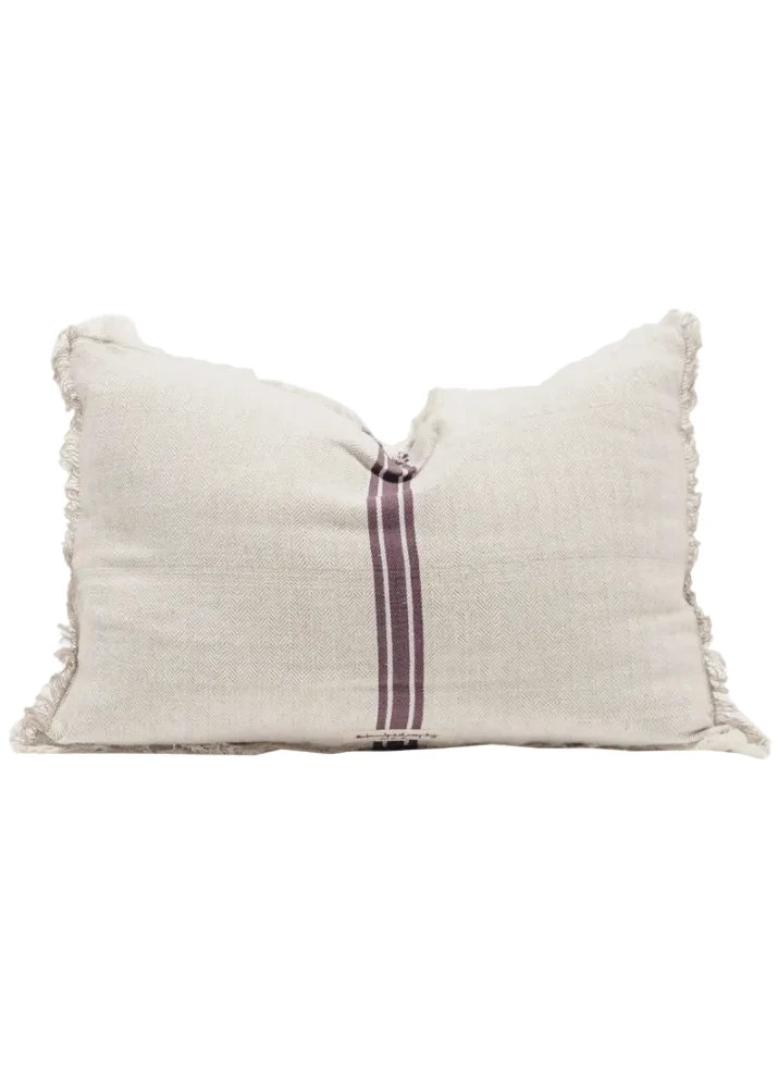 COUSSIN 40X60 CHACRA FIGUE
