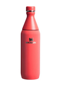 THE ALL DAY 0.6L HOT CORAL GLOSS